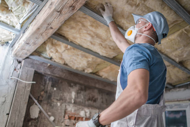 Best Fiberglass Insulation  in Ballwin, MO