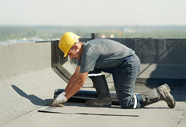 Best Professional Insulation Contractor  in Ballwin, MO