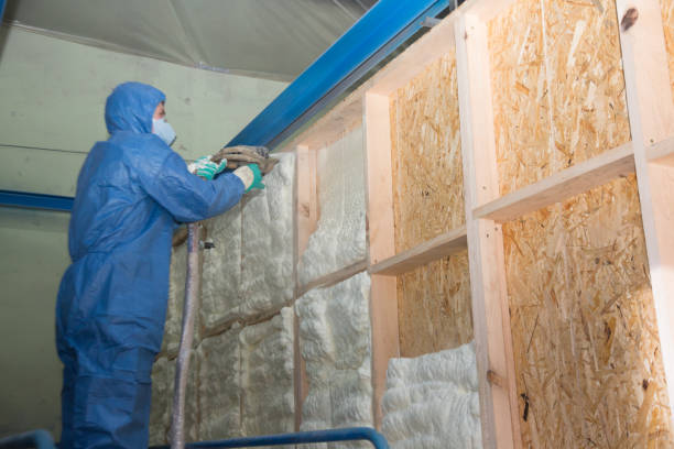 Insulation Inspection Services in Ballwin, MO