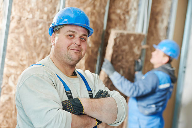 Best Crawl Space Insulation  in Ballwin, MO