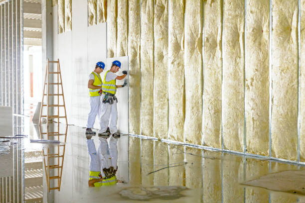 Best Soundproof Insulation Installation  in Ballwin, MO